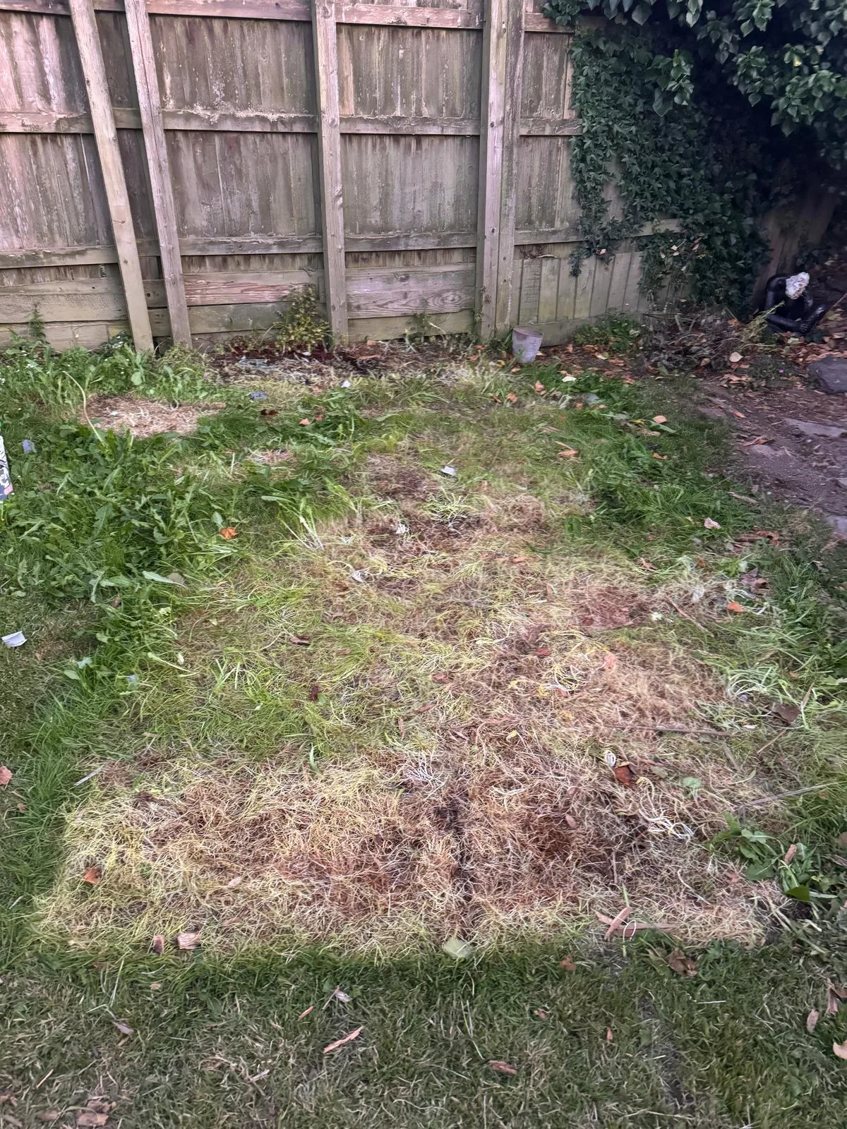 Back garden clearance after