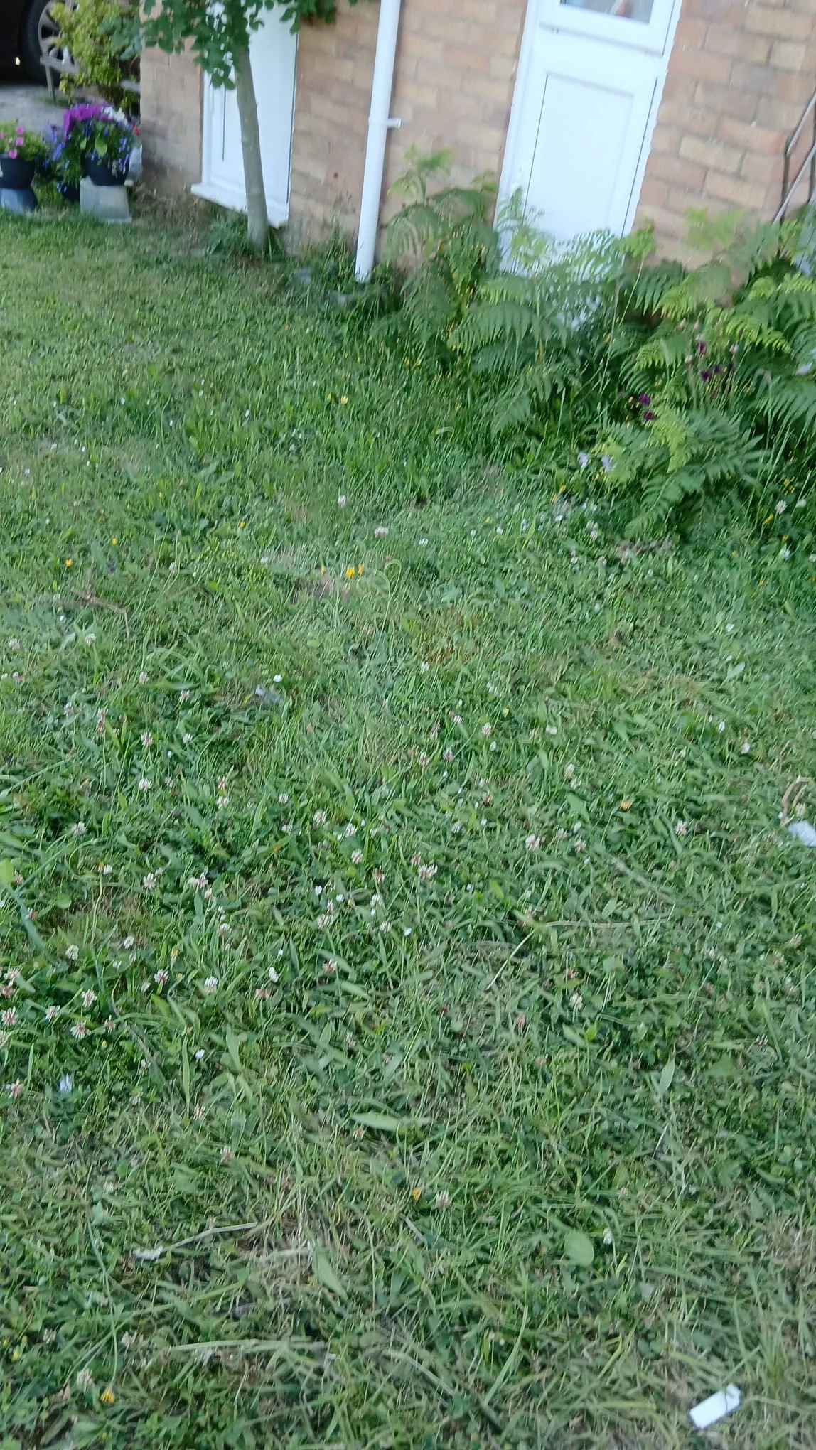 Garden clearance after