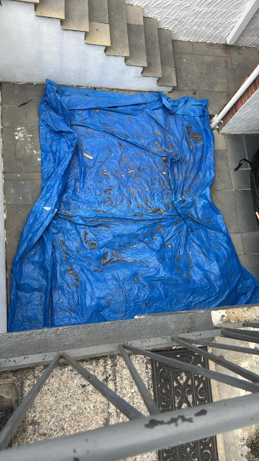 Yard clearance after