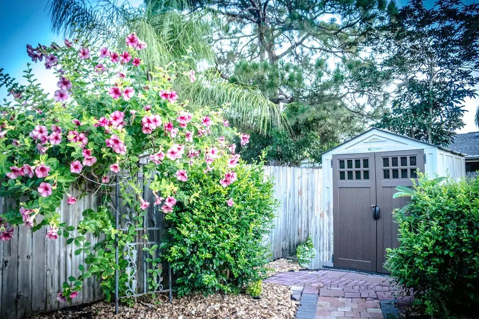 Shed Clearance
